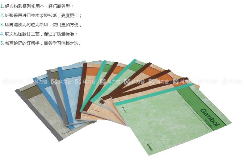 渡边 Gambol 无线装订本 G5303 A5 30页