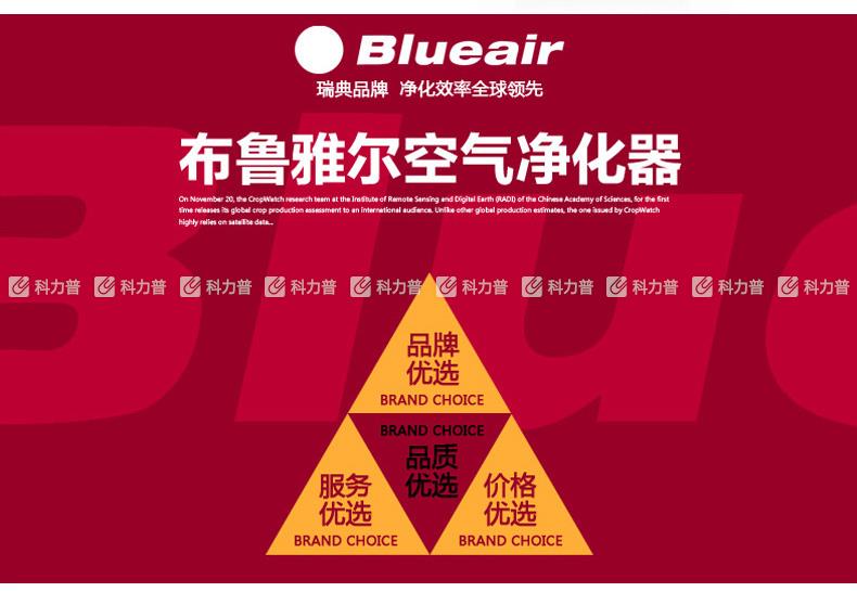 布鲁雅尔 Blueair 空气净化器 303