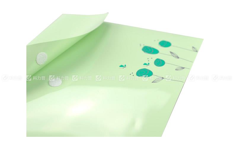 树德花香粘扣资料袋  FB202 A4 绿色