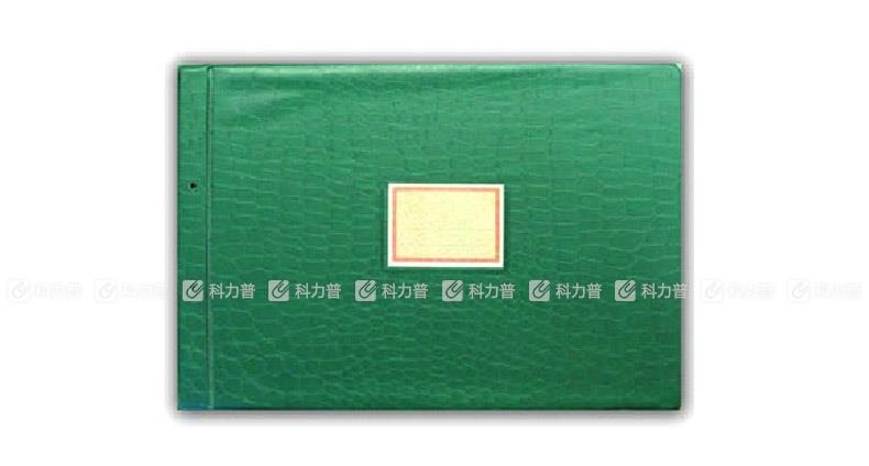 立信 塑料账夹 2902-A4 A4