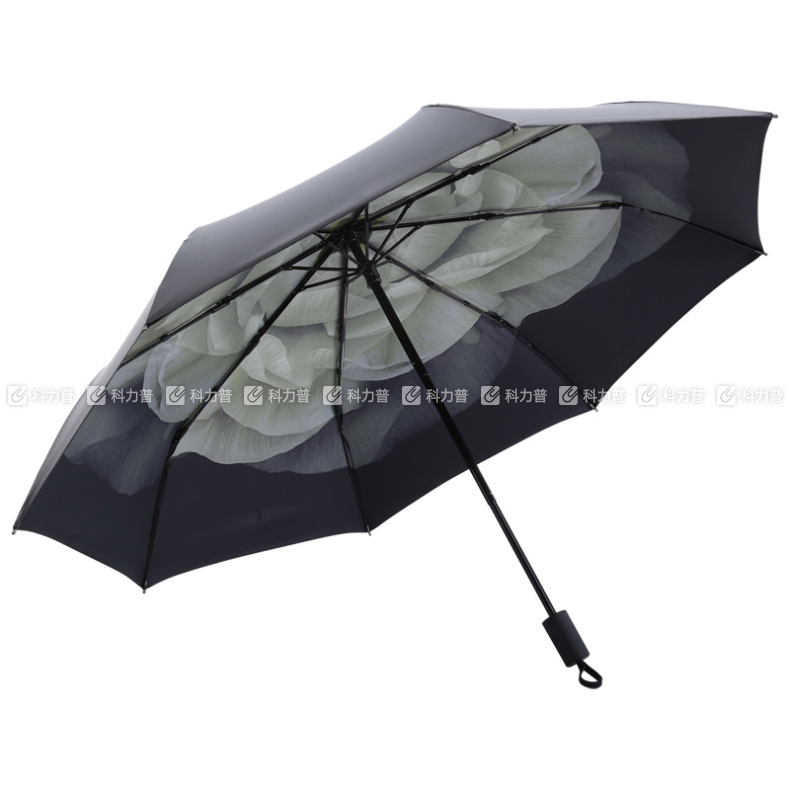 日常随手携带品套装 219元 日常随手携带品套装 219元