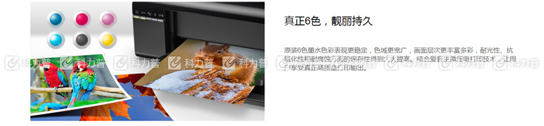 爱普生 EPSON A4墨仓式照片喷墨打印机 L805 爱普生 EPSON A4墨仓式照片喷墨打印机 L805