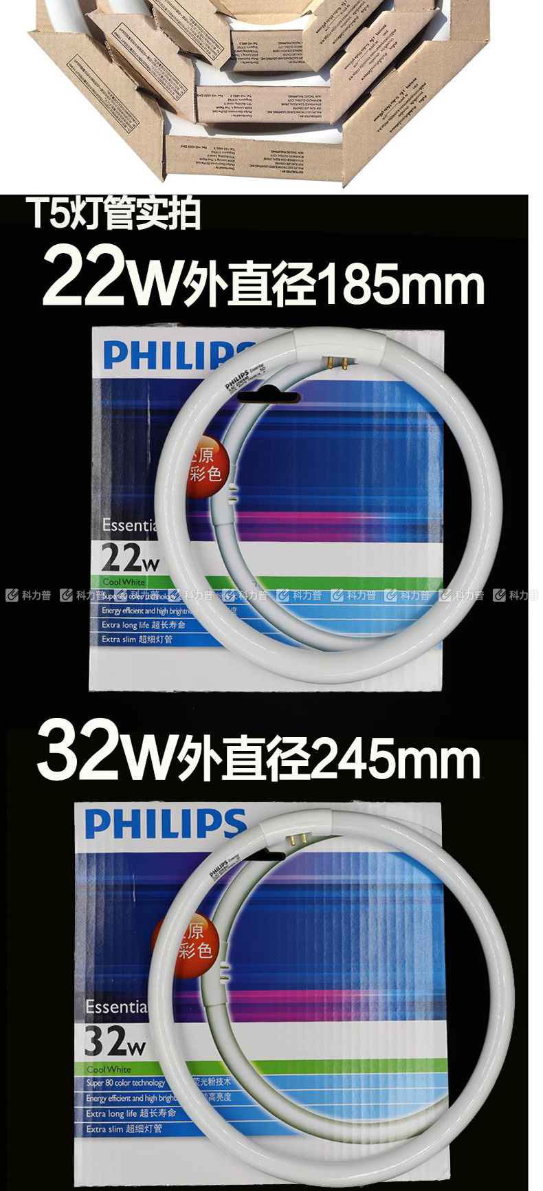 飞利浦 PHILIPS 环形灯管 T5/6500K/40W 白光  10只/箱 (整箱起订)
