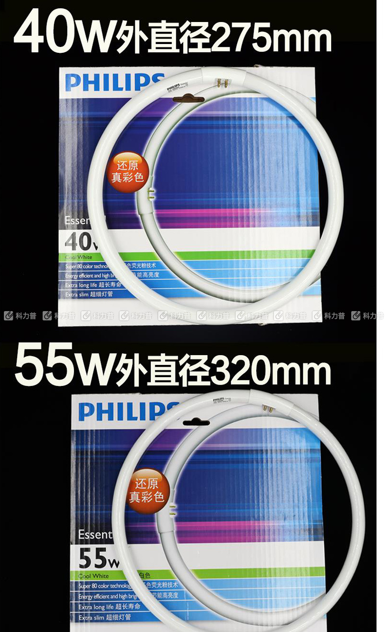 飞利浦 PHILIPS 环形灯管 T5/6500K/40W 白光  10只/箱 (整箱起订)