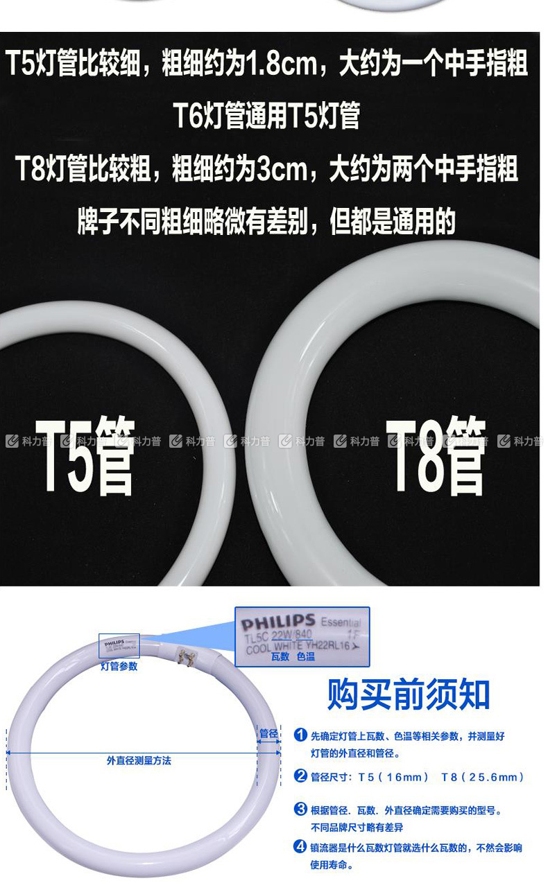 飞利浦 PHILIPS 环形灯管 T5/6500K/40W 白光  10只/箱 (整箱起订)