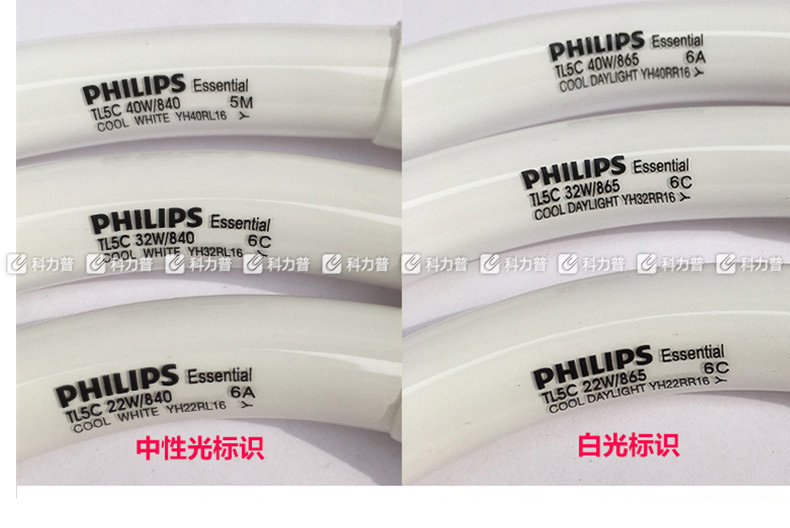 飞利浦 PHILIPS 环形灯管 T5/6500K/40W 白光  10只/箱 (整箱起订)