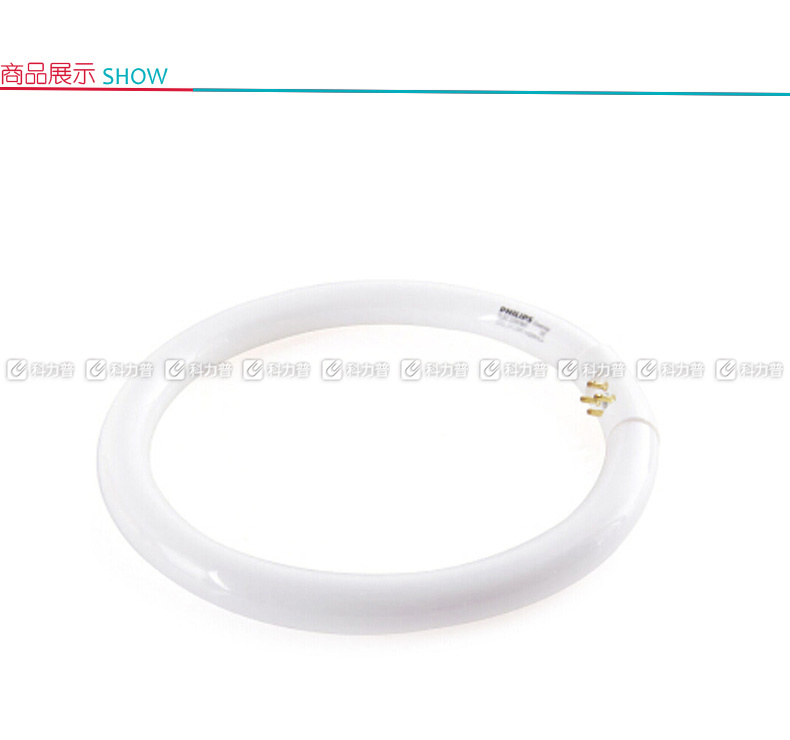 飞利浦 PHILIPS 环形灯管 T5/6500K/40W 白光  10只/箱 (整箱起订)
