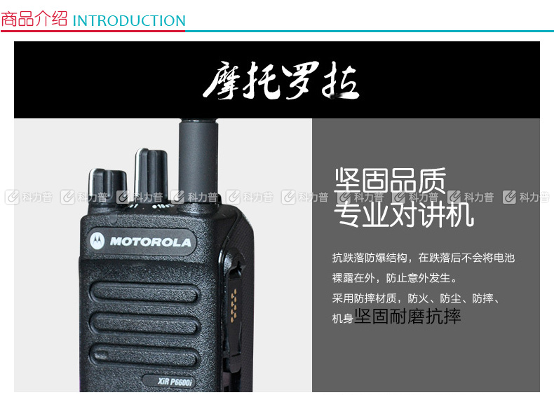 摩托罗拉 MOTOROLA 对讲机 P6600 I （锂电池 充电器 背夹 天线 纸盒装） 专业数字对讲机