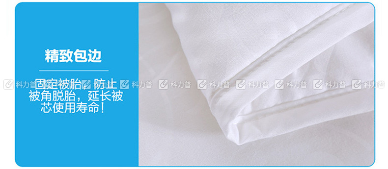 罗莱 LUOLAI LOVO 典雅蚕丝被 VQS2007-5 