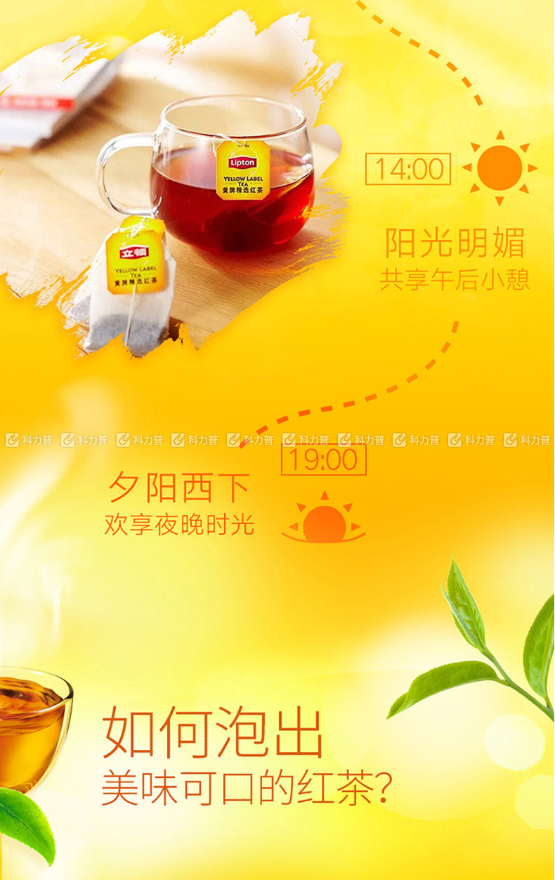 立顿 Lipton 黄牌精选红茶 2g/包  100包/盒 12盒/箱
