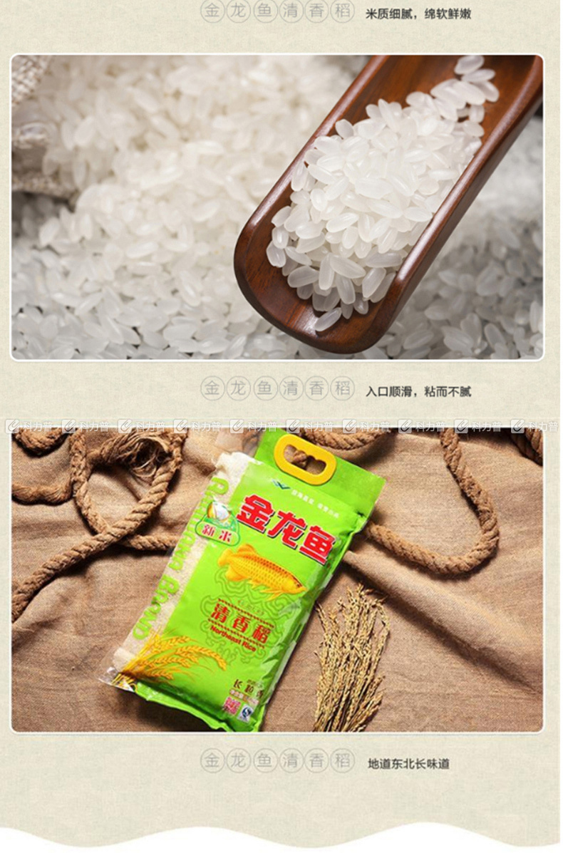 金龙鱼 清香稻长粒香米 5kg/袋 4袋/箱