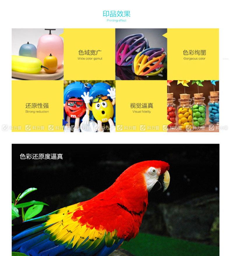 耐力 NIKO 墨盒 100ml (青色) (连供墨水，适用于Epson桌面打印机连续供墨设备)