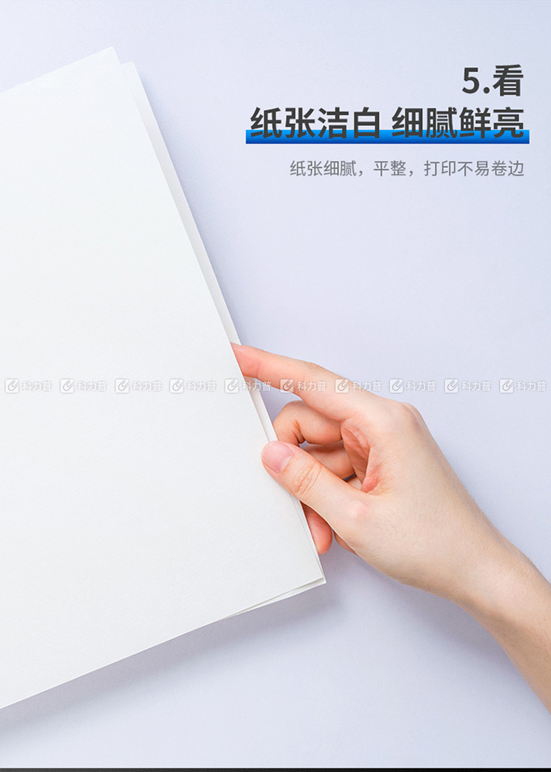 得力 deli 莱茵河复印纸 A4 70g  500张/包 5包/箱