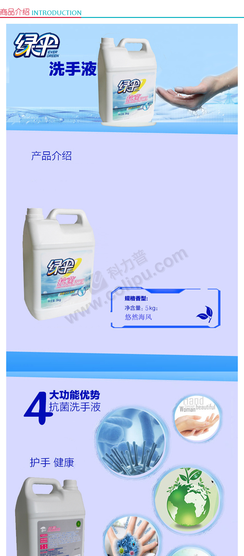 绿伞evergreen 抗菌洗手液 5kg 4桶/箱