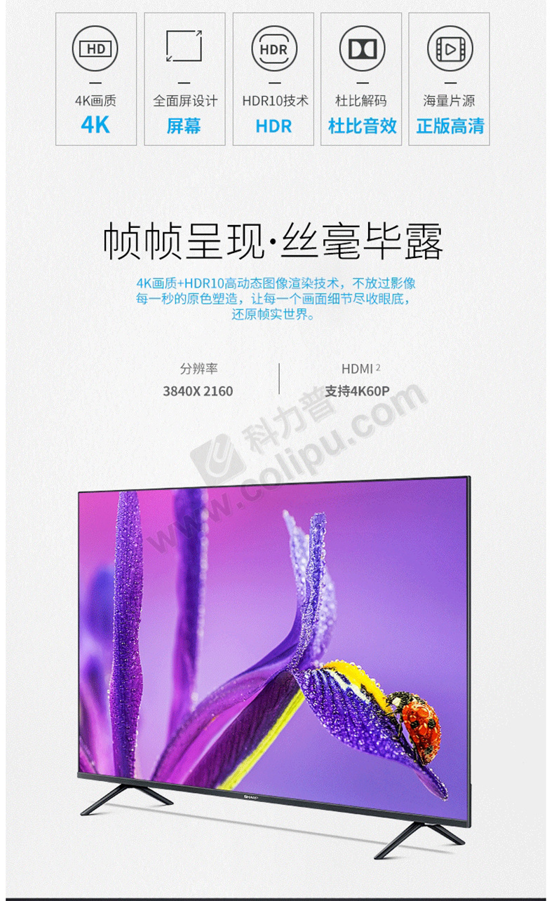 夏普sharp 50英寸 4k超高清 智能平板电视机 50x6p (配底座)