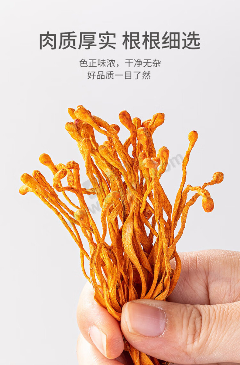 方家铺子 蛹虫草 180g/瓶