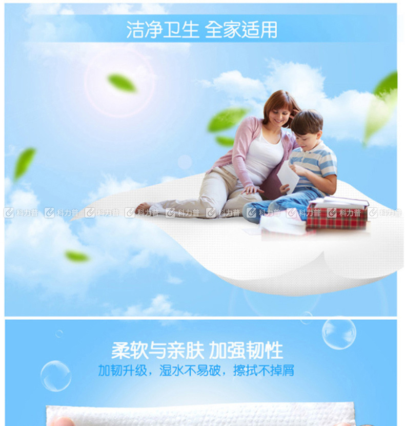 洁云 Hygienix 300张 卫生纸 厕用纸抽纸 平板卫生纸 42包/箱 300张/包 42包/箱 