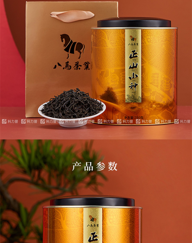 八馬茶業 武夷山正山小種紅茶 250g 罐裝