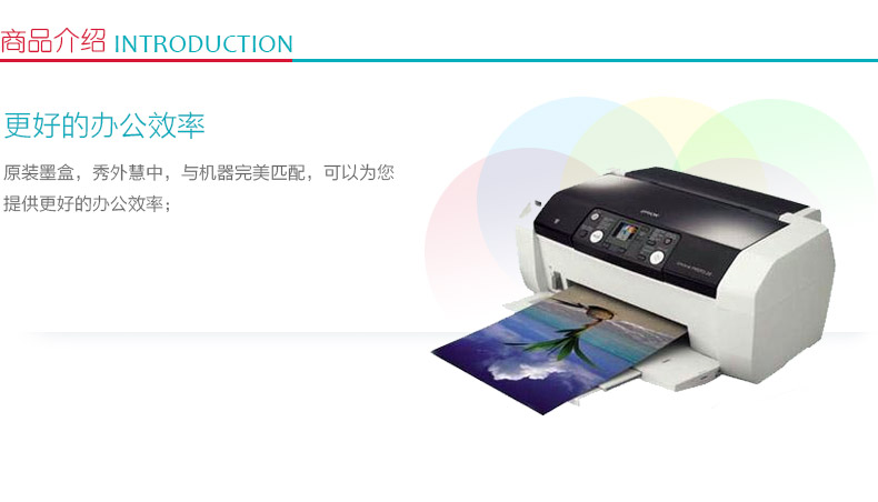 爱普生 EPSON 大容量双包装墨盒 T1191 (黑色)