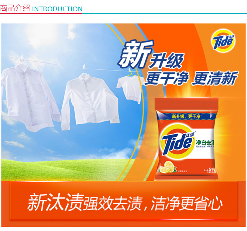 汰渍 Tide 净白去渍洗衣粉 柠檬清新型 5kg  2包/箱