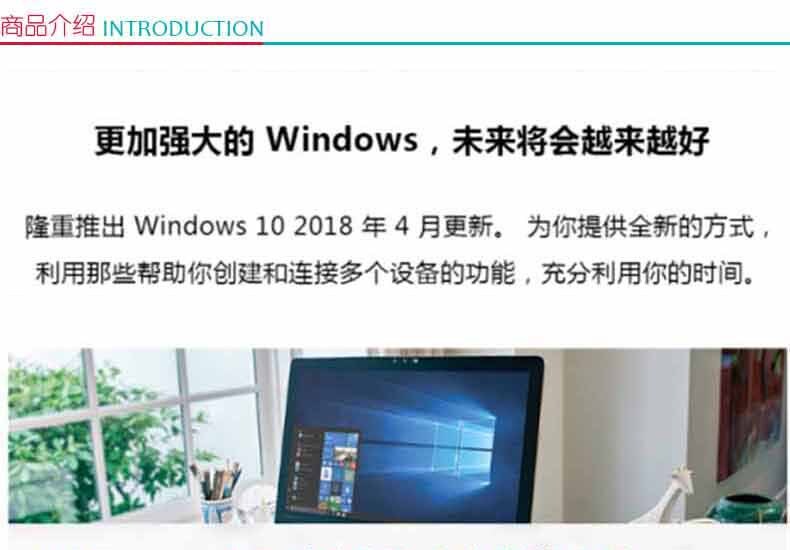 微软 Microsoft Windows10系统 