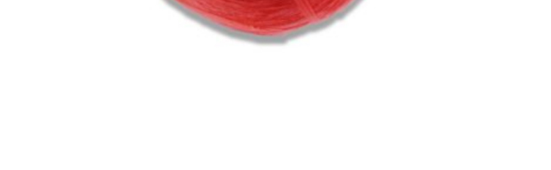 安赛瑞 塑料打包绳 12312 3cm*4200m (红色)