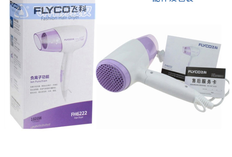 飞科 FLYCO 电吹风机 FH6222 