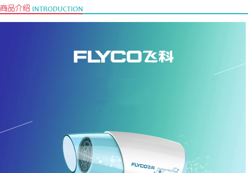 飞科 FLYCO 电吹风机 FH6223 