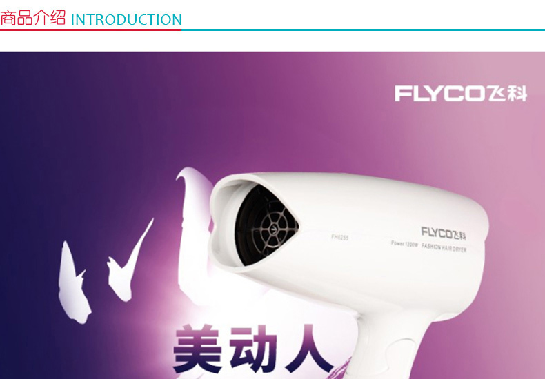 飞科 FLYCO 电吹风机 FH6255 
