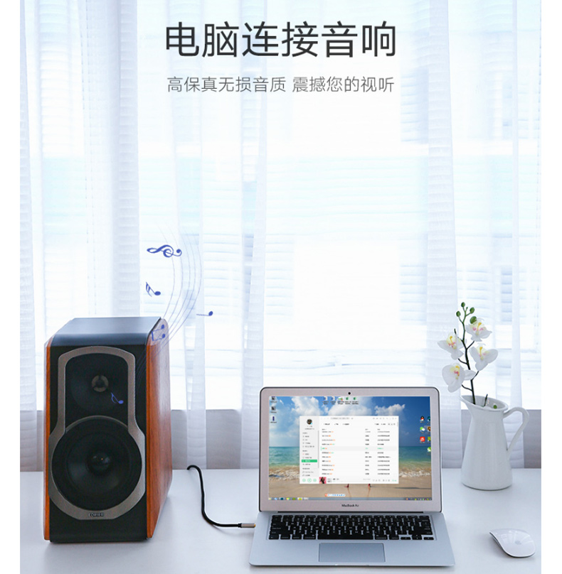 绿联 UGREEN 音频线 40804 音频线 AV127 2m 3.5转6.5 公对公 (黑色)