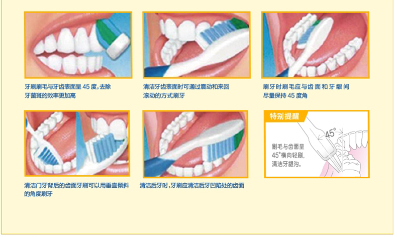 狮王 牙刷 细齿洁弹力护龈 