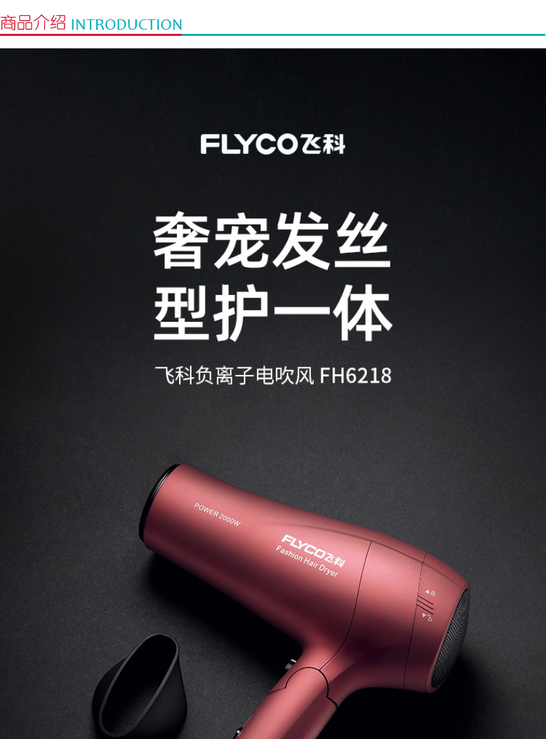 飞科 FLYCO 电吹风 FH6218 
