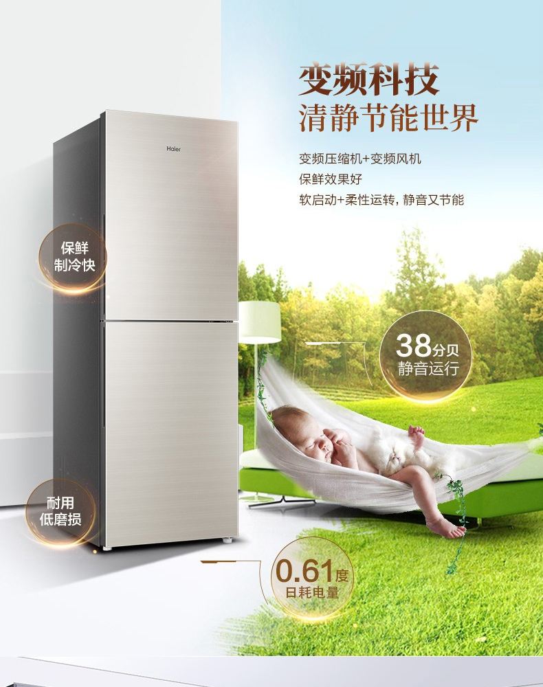 海尔 Haier 风冷无霜 变频 双门冰箱 BCD-309WMCO 309L (轻奢金) 全国大部分地区含运(偏远地区加收运费，详询客服)