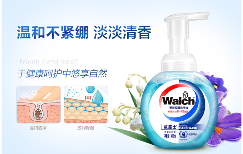 威露士 Walch 泡沫洗手液 300ml/瓶  24瓶/箱 (健康呵护)