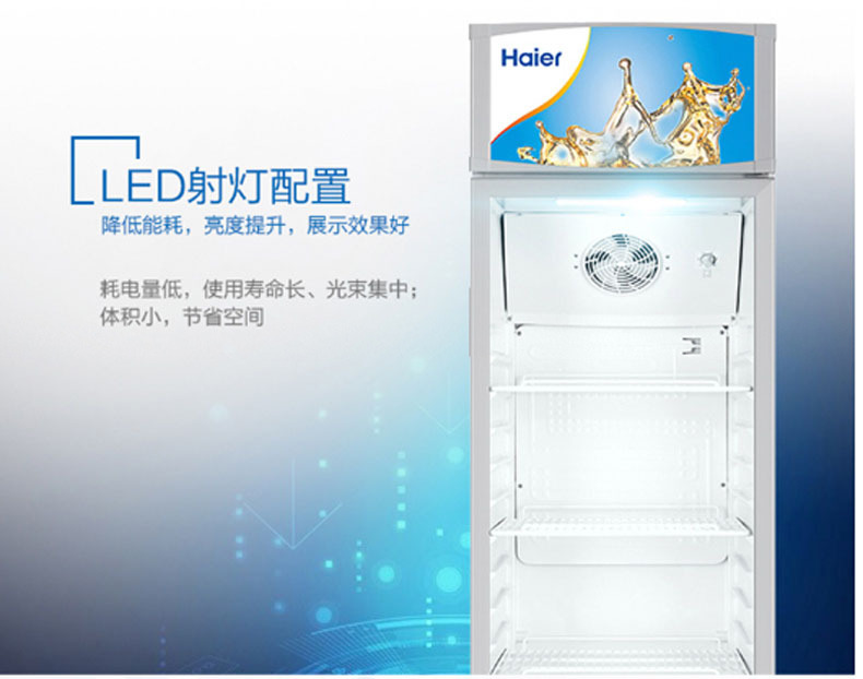 海尔 Haier 立式冷藏柜冰柜商用商流 SC-298 