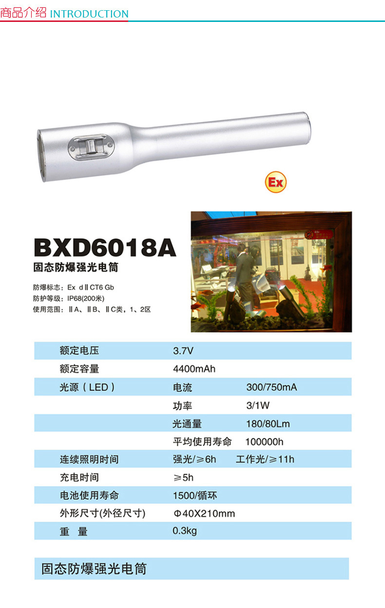 正辉 固态防爆强光电筒 BXD6018A (银白色)