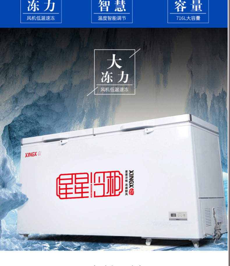 星星 XINGX 冷藏冷冻冰柜 BD/BC-718G 718升 (白色) 冷柜*1 大冰柜商用保鲜冷冻转换冰柜