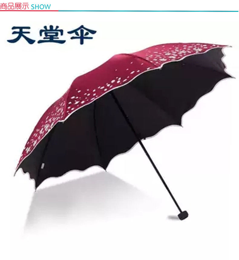 天堂 黑胶晴雨伞防紫外线太阳伞女式波浪边变色闪光布 33230E 66cm/8K 