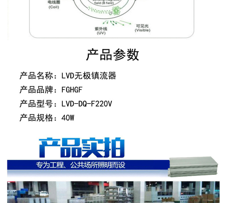 FGHGF LVD无极镇流器 LVD-DQ-F220V 40W 