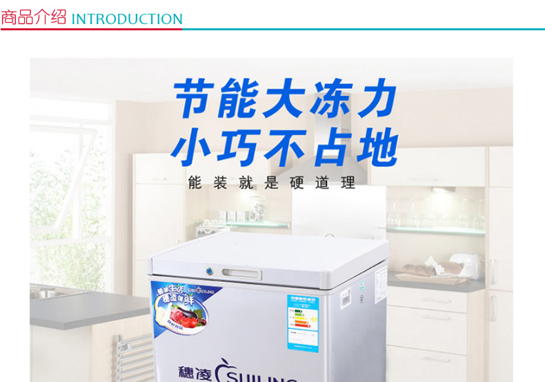 穗凌 BD-100 单温顶开门冷冻冷藏转换家用冷柜转换柜 