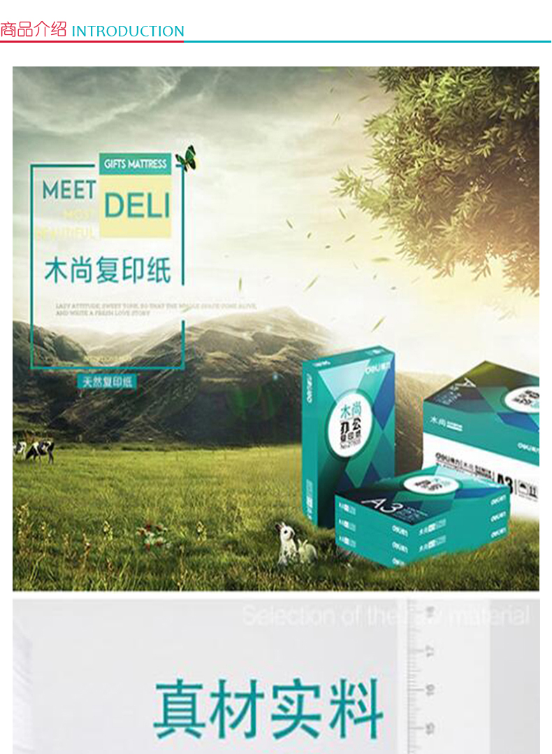 得力 deli 复印纸 木尚 A3 70g (绿色)