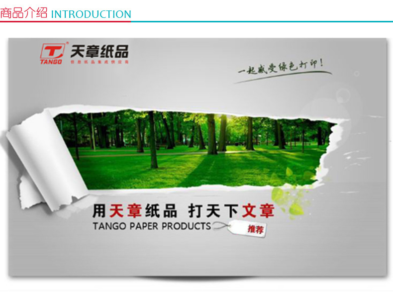 天章龙 Tango 电脑打印纸 381-2 132列 两联白 不带压线 撕边  1000页/箱