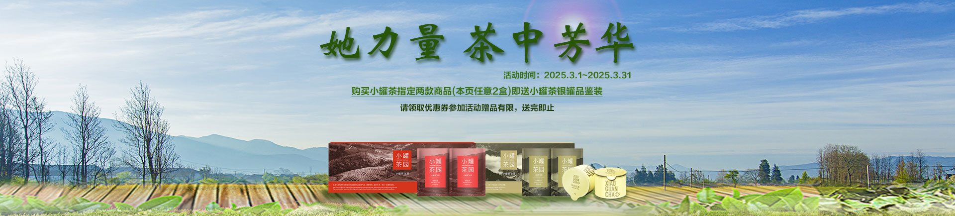 小罐茶