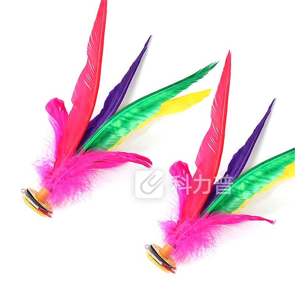 杜威克 毽子大号鹅毛羽毛彩色比.