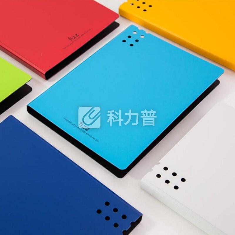 广博京东文具自营超市飞兹系列文件夹板办公用品资料夹票据夹档案夹发票夹夹板学习学生用品 A2386双夹 绿色