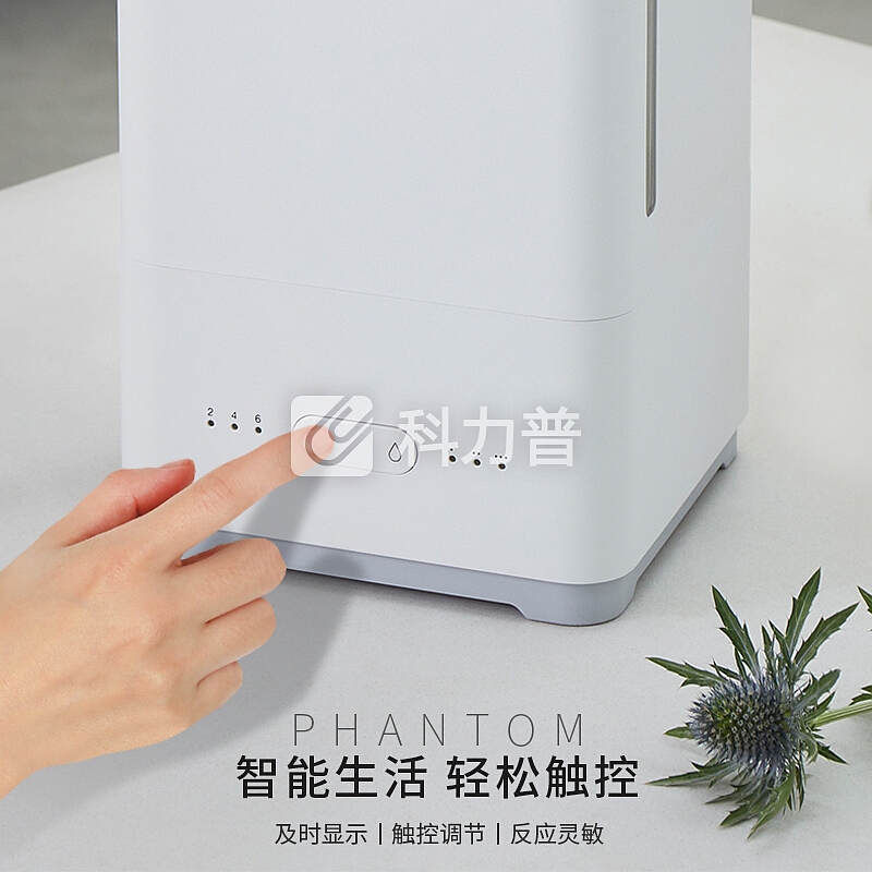 利仁(Liven)加湿器5L大容量上加水 静音卧室办公室空气净化加湿 家用迷你婴儿香薰JSQ-D50