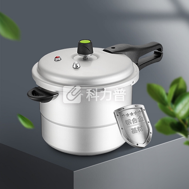 爱仕达 ASD 爱仕达 高压锅压力锅焖煮锅炖汤锅 家用复底加厚大汤锅 六重保护炖骨头锅 煤气灶液化气天然气专用锅具 不锈钢色 22CM