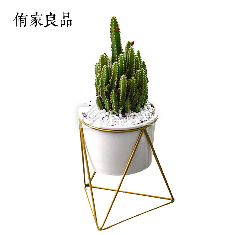 侑家良品北欧简约创意几何三角形铁艺组合套装多肉陶瓷花盆铁架套装花盆+铁架 大号