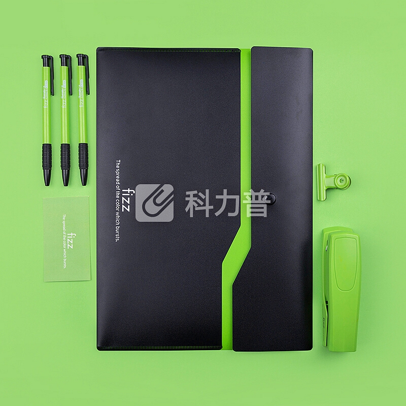 飞兹(fizz)加厚双层按扣文件袋/彩色档案袋资料袋/办公用品 绿色FZ103002