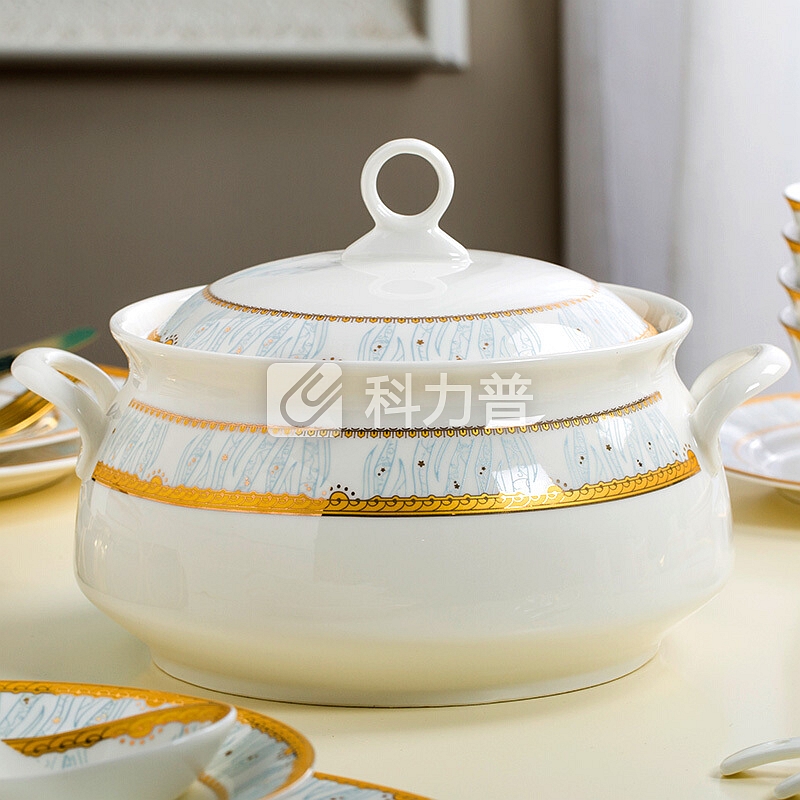 浩雅 浩雅 餐具套装碗碟家用送礼景德镇骨瓷碗盘子欧式陶瓷餐具组合简约创意碗筷 60头金色情怀